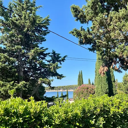 Sea View Sunny Escape Διαμέρισμα